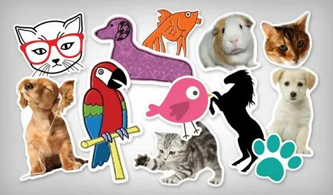 Custom Pet Stickers